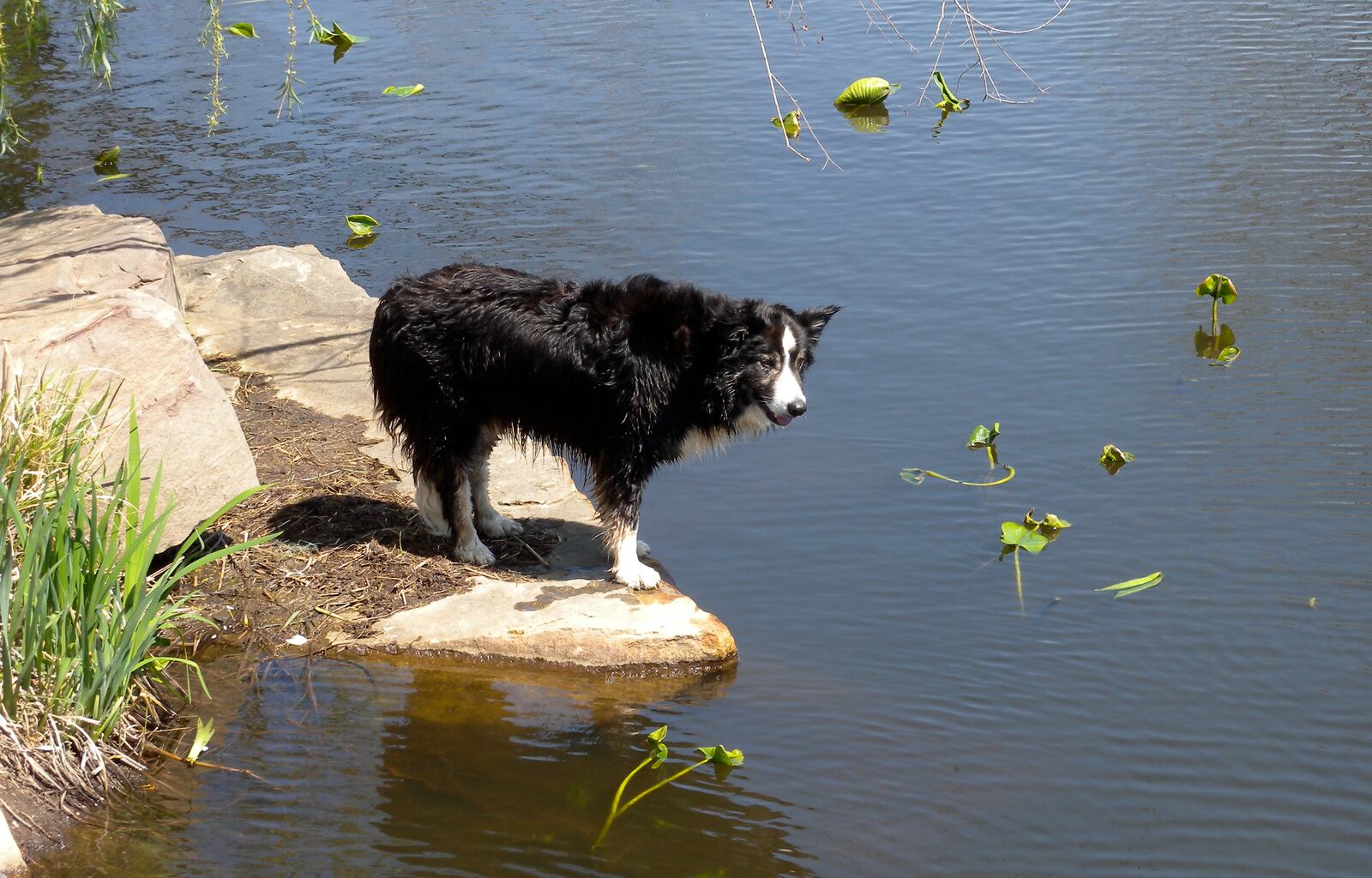 Zipp working at Cox  Cox Arboretum MetroPark (Source: Five Rivers MetroParks