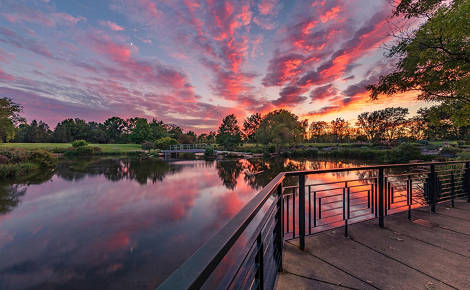 A photograph taken at Cox Arboretum created by artist Jeff Smith will be among the gifts available at The Contemporary Dayton's online shop, The Holiday Co-Share. CONTRIBUTED PHOTO