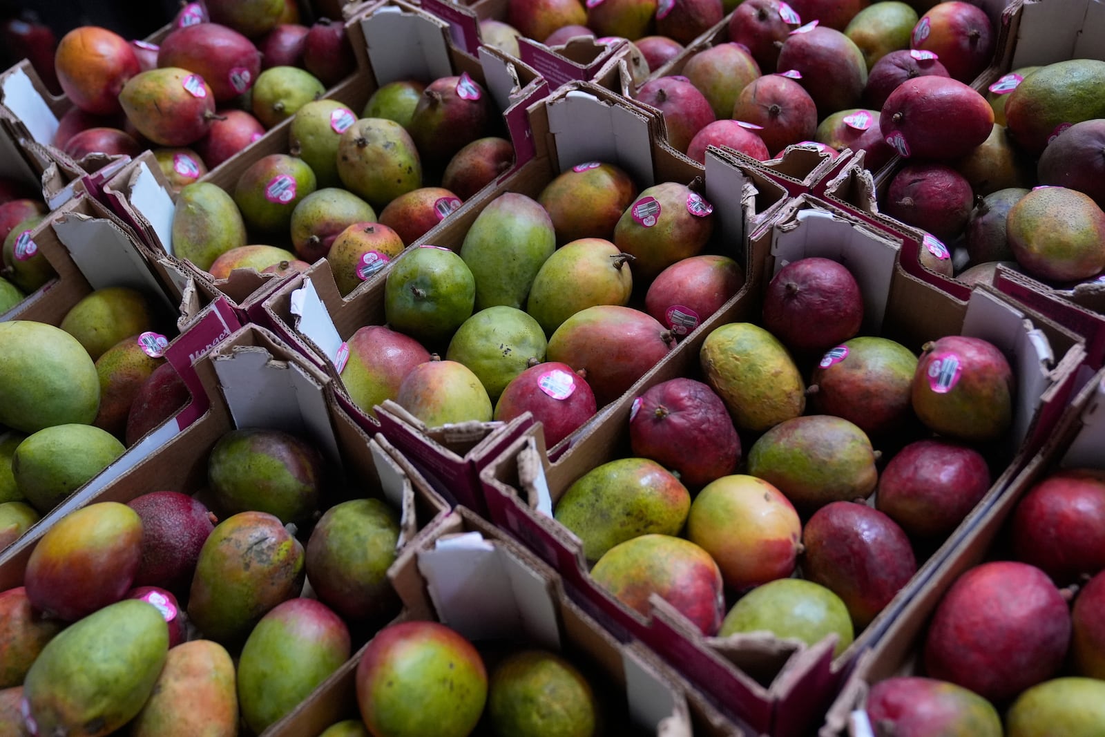Boxes of mangoes are shown in the San Francisco-Marin Food Bank warehouse in San Francisco, Wednesday, July 2, 2025. (AP Photo/Jeff Chiu)