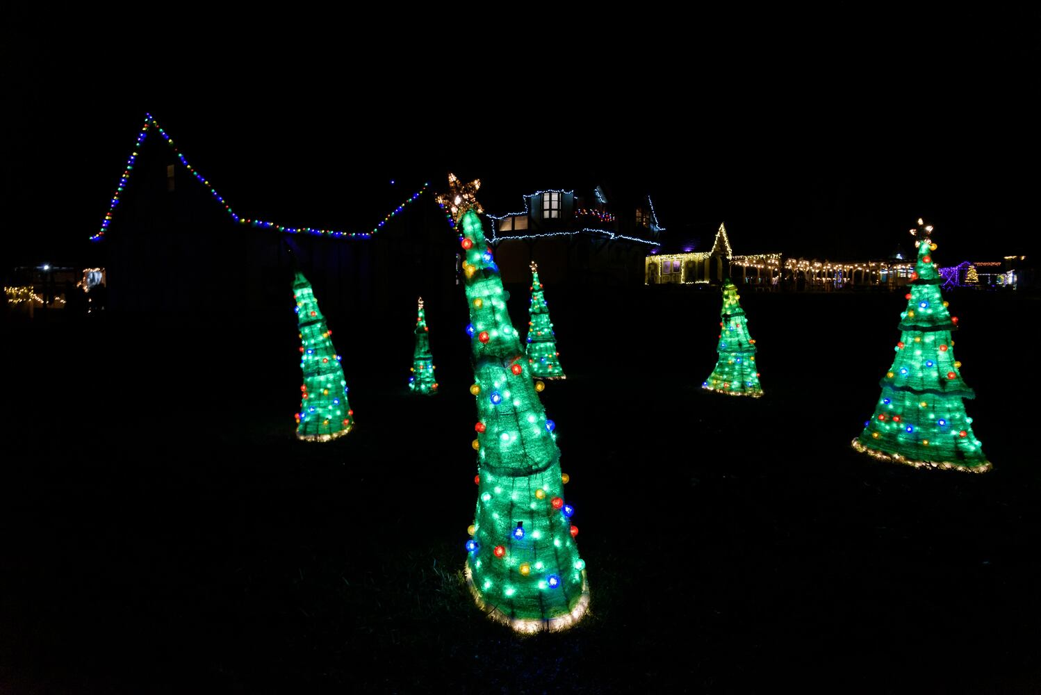 PHOTOS: The Second Annual Yuletide Village at Renaissance Park Event Center