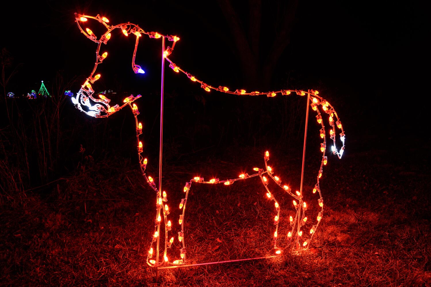 PHOTOS: ParkLights at Caesar Ford Park
