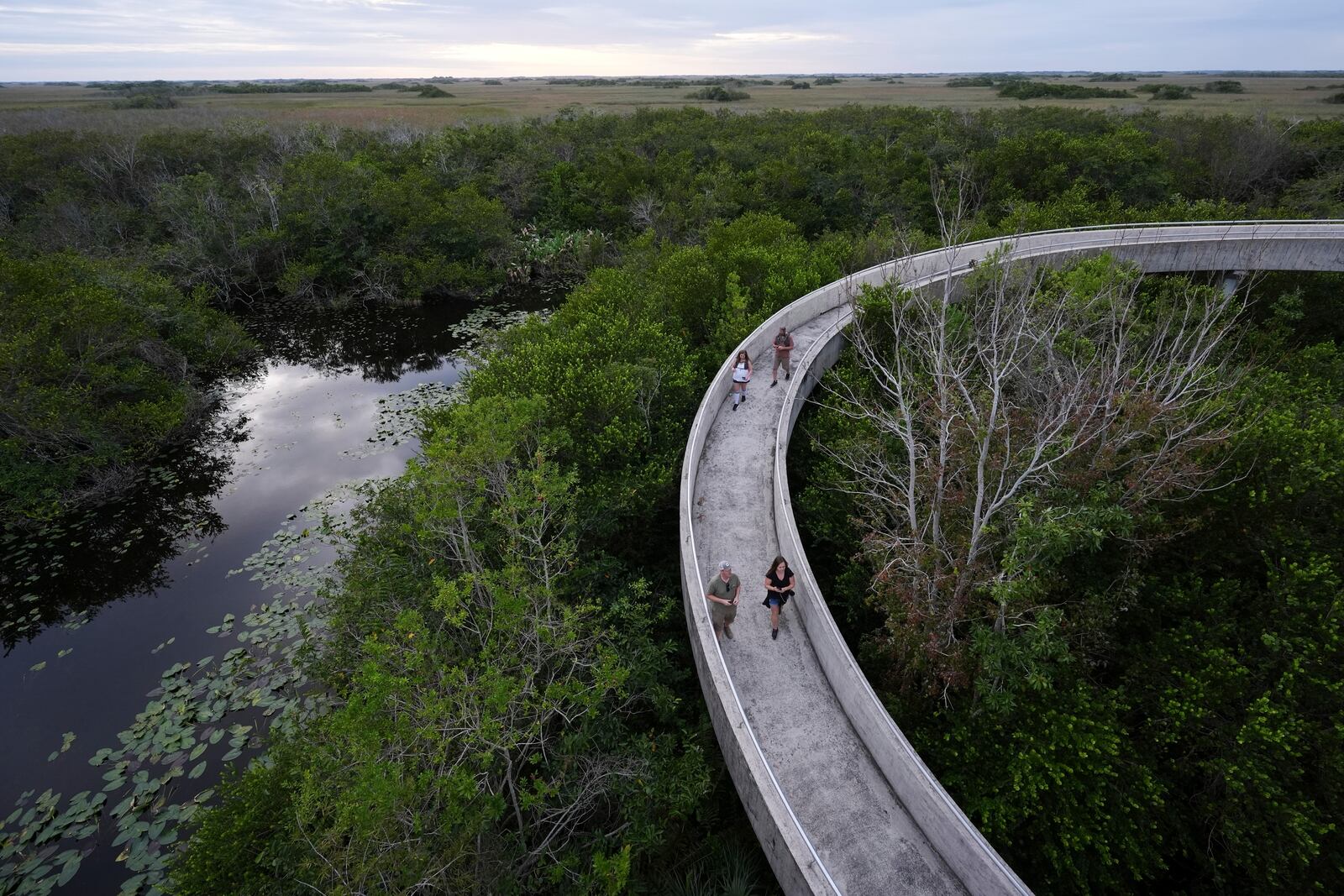FILE - Visitors walk down a ramp after climbing Shark Valley observation point in Everglades National Park, Fla., Nov. 20, 2024. (AP Photo/Rebecca Blackwell, File)