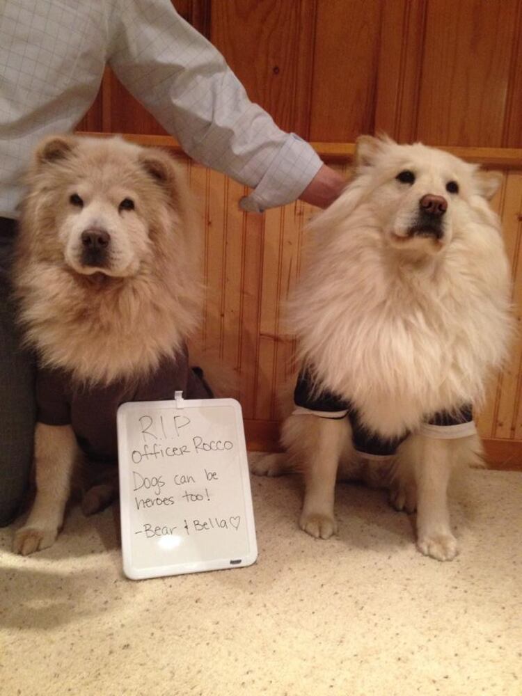 RIP Rocco