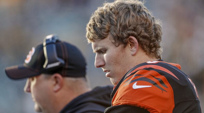 CINCINNATI, OH - NOVEMBER 24: Ryan Finley #5 of the Cincinnati Bengals is seen on the bench area late in the game against the Pittsburgh Steelers at Paul Brown Stadium on November 24, 2019 in Cincinnati, Ohio. (Photo by Michael Hickey/Getty Images)