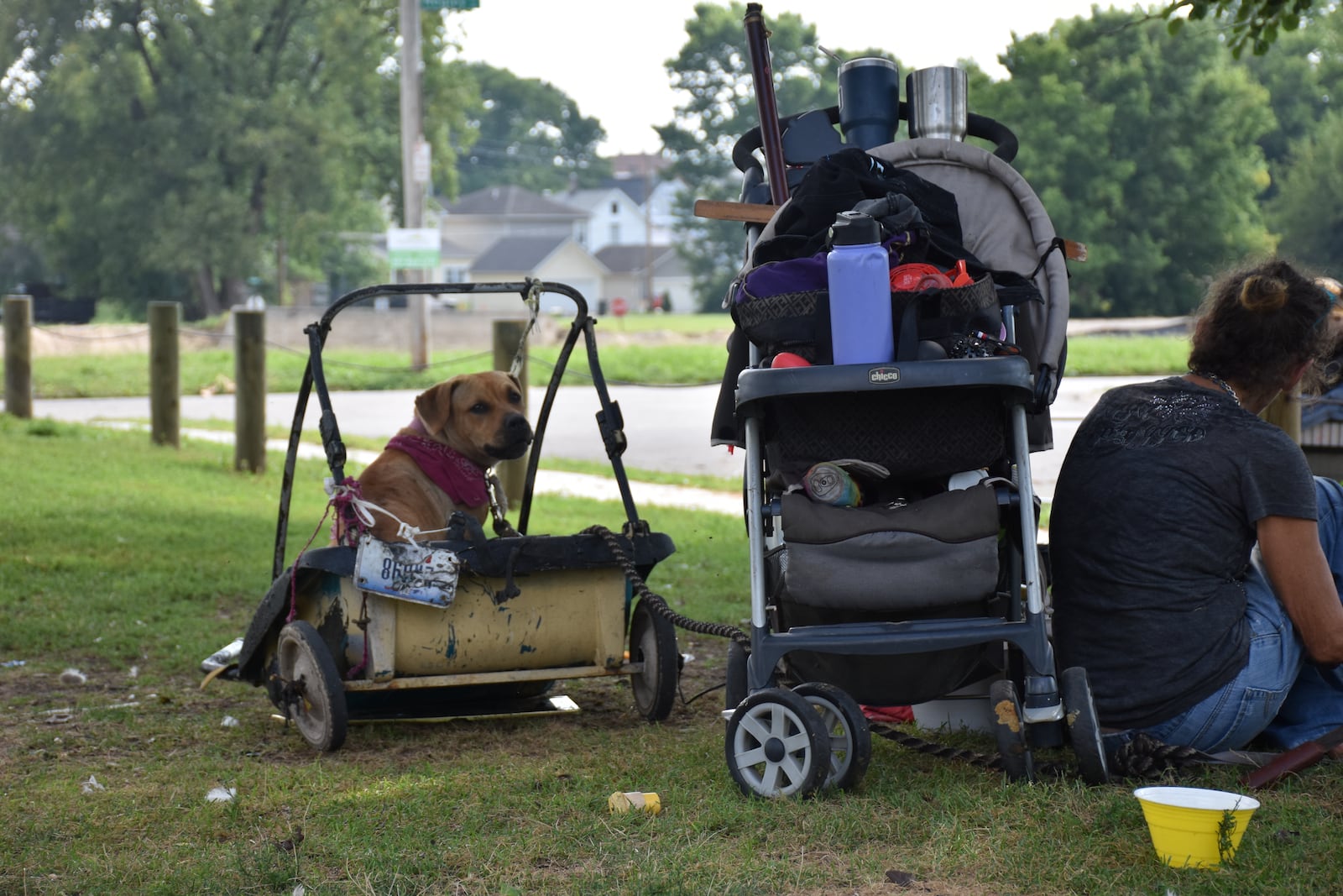 Tina E., who some people call "Mama," sits on the grass at McIntosh park in northwest Dayton. Tina, 54, who has been homeless on and off since she was 11 years old, keeps some of her belonging in a baby stroller. She also has a cart for her dog, "Goldie." CORNELIUS FROLIK / STAFF