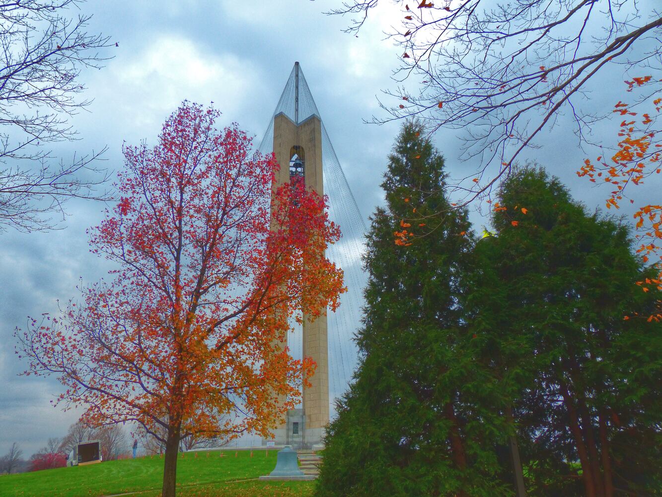 PHOTOS: Carillon Tree of Light 2016