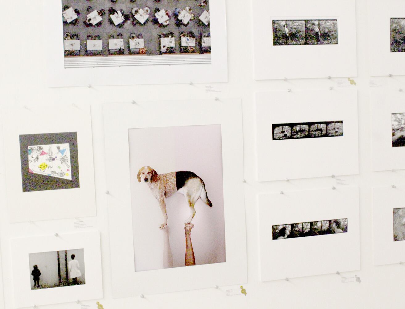 Photos:  432 works by Dayton area student shine in downtown Dayton