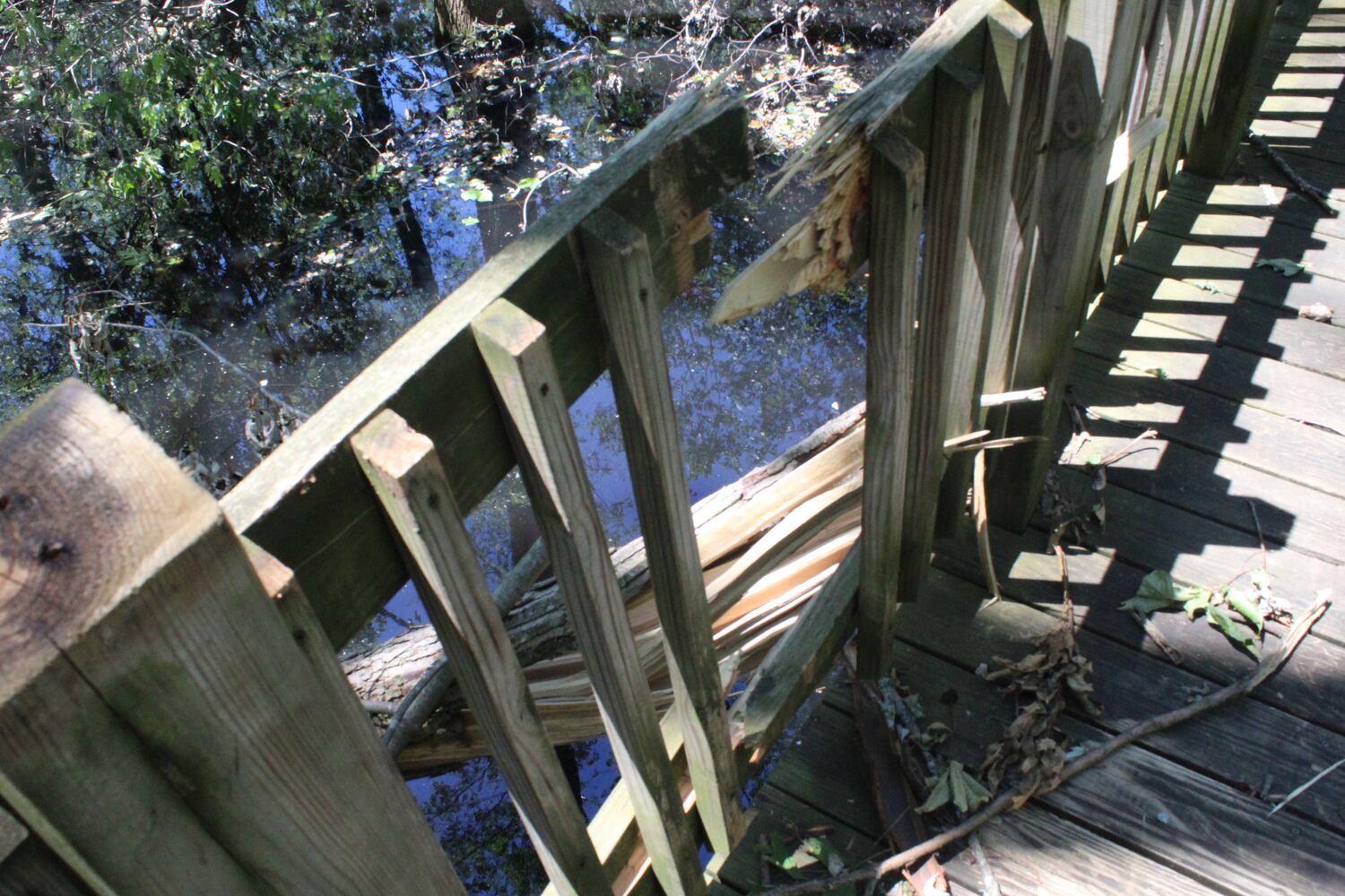 Photos: ‘extraordinary’ damage to parts of  Wegerzyn MetroPark, some parts mostly untouched