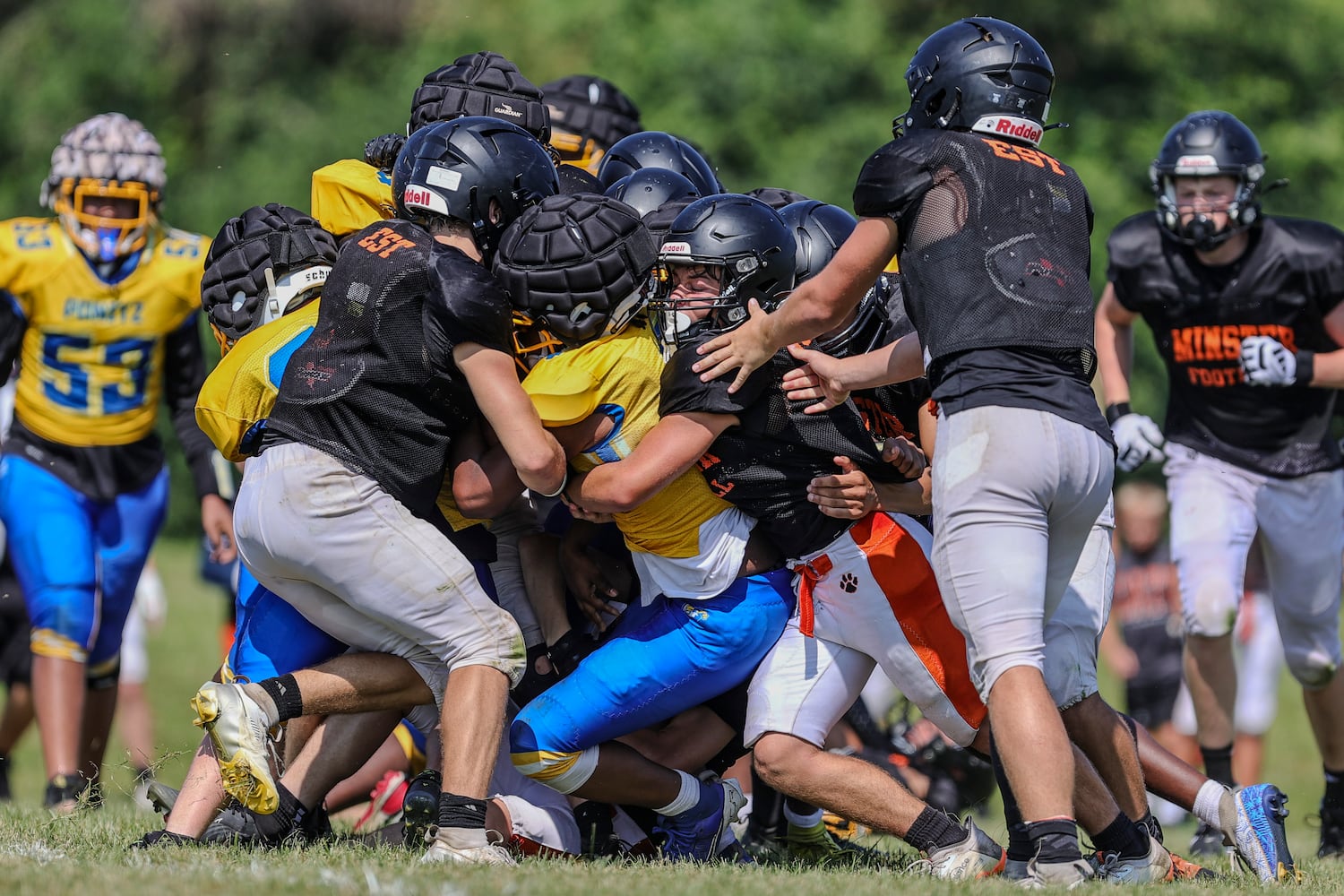 hsfb 2025