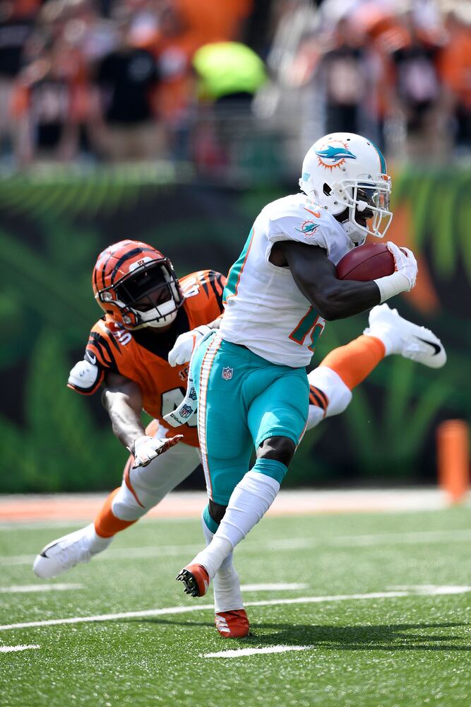 bengals dolphins gallery
