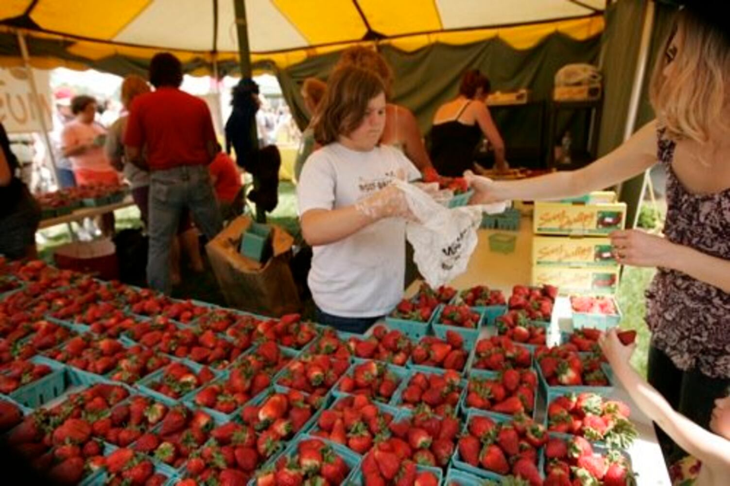 Troy Strawberry Festival