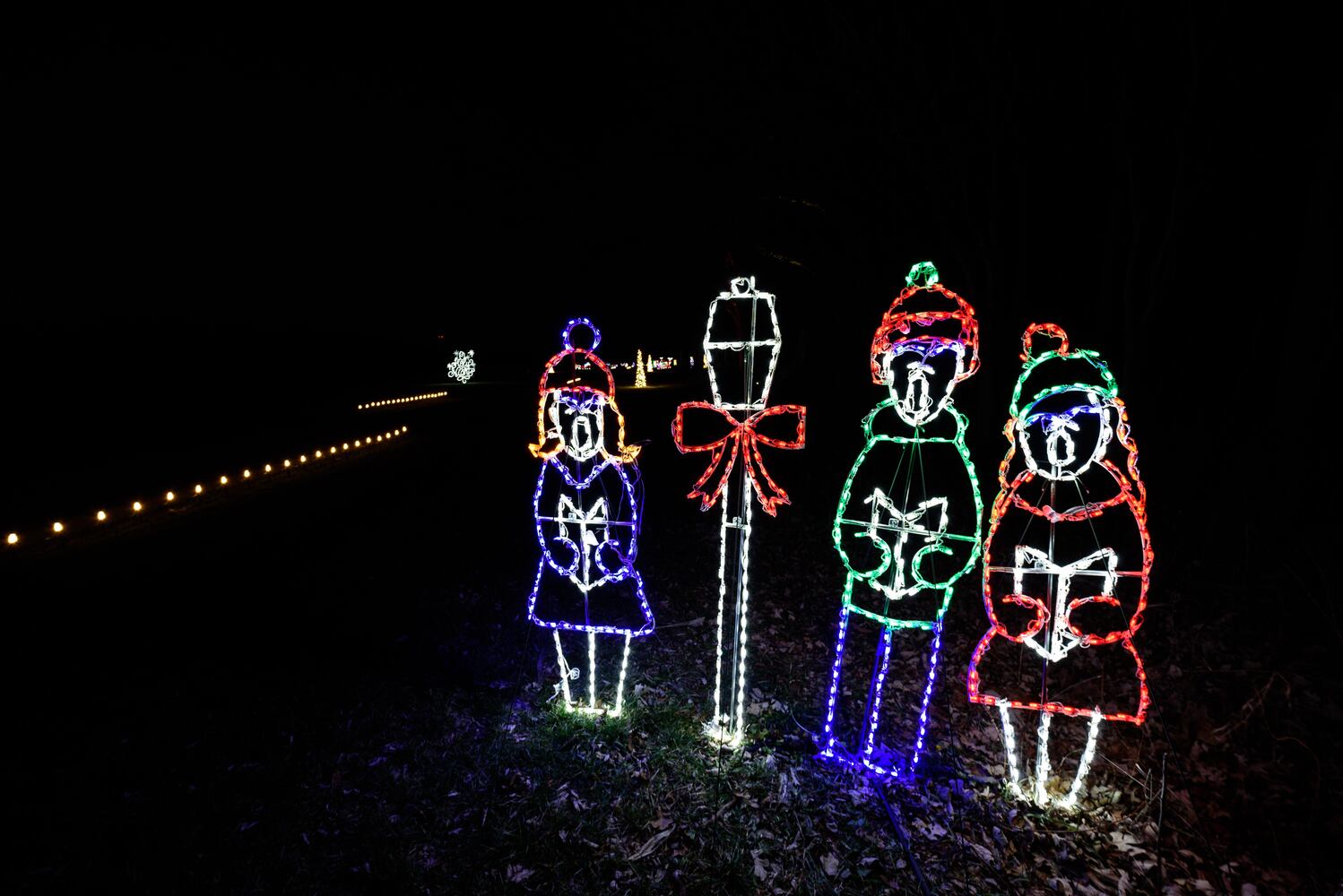 PHOTOS: Holiday Lights dazzle at Lost Creek Reserve in Troy