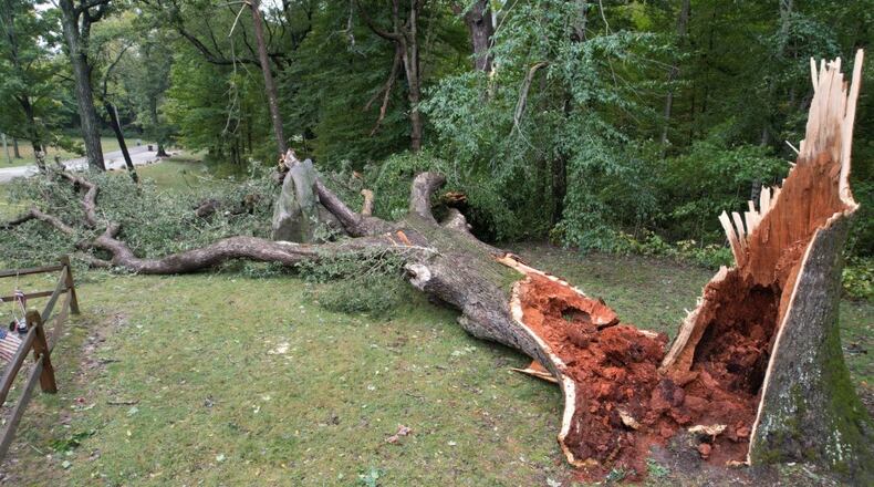A several centuries-old oak tree in Fort St. Clair Park in Eaton fell Friday to the strong winds caused by remnants of Hurricane Helene.