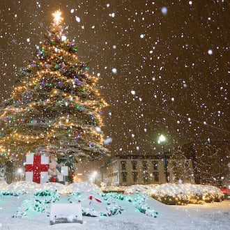A snow storm moved through the region on Monday, Dec. 1 and blanketed area Christmas tree displays, including Troy. Miami County is expected to see between three and five inches; all of the area is expected to see at least two inches. BRYANT BILLING/STAFF