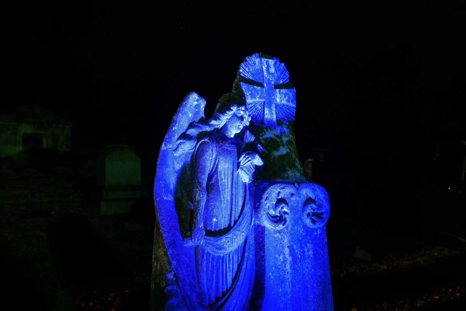 PHOTOS: Angel Night at Calvary Cemetery