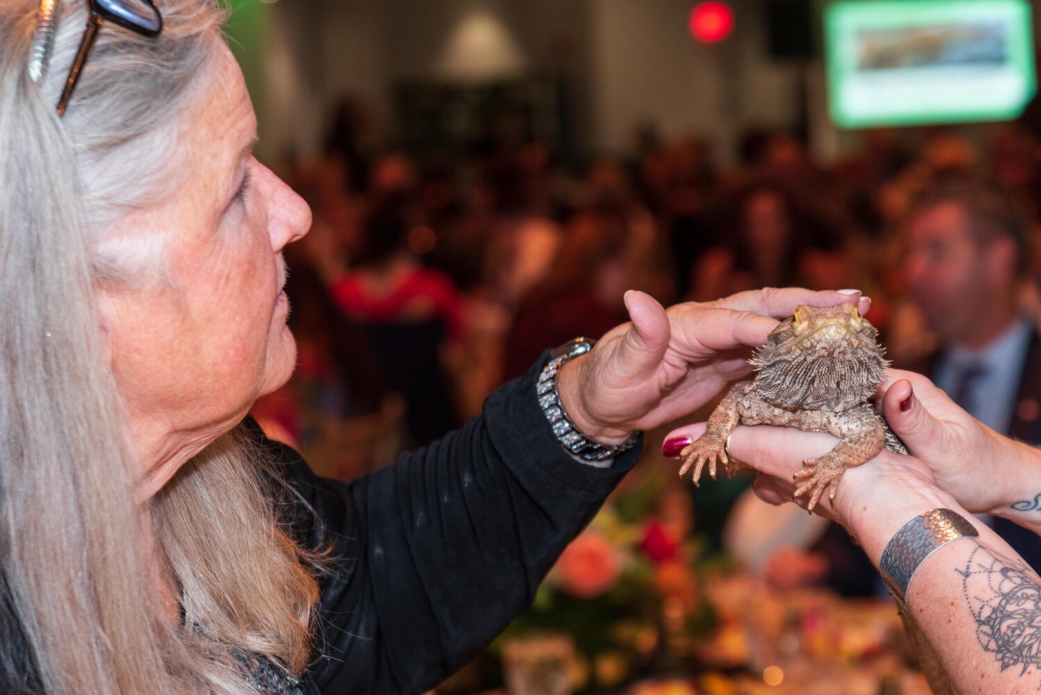PHOTOS: Did we spot you at the Pet Afflaire Gala at the Dayton Arcade?
