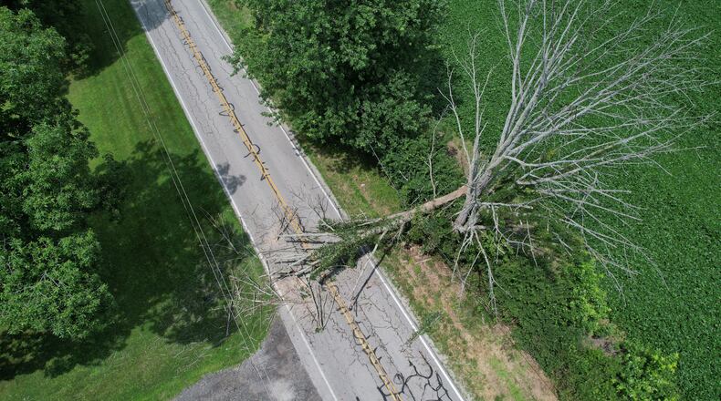 A large tree was knocked down by winds on Chicken Bristle Road nears Farmersville in Montgomery County. JIM NOELKER/STAFF