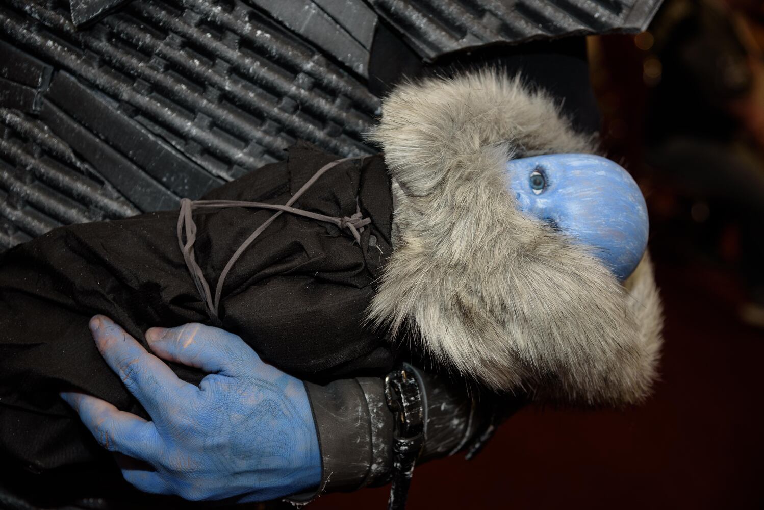 PHOTOS: Did we spot you geeking out at the Gem City Comic Con?