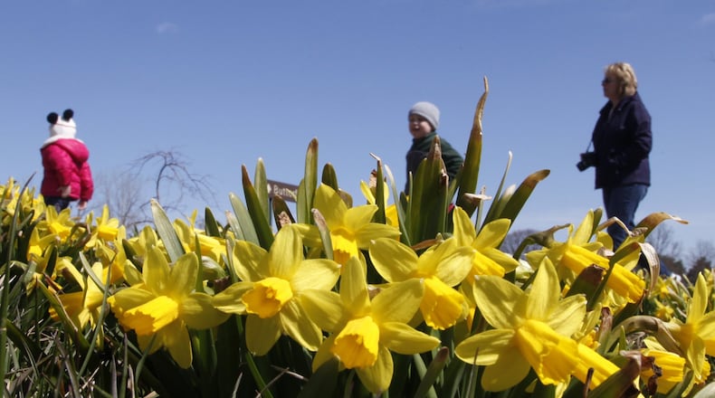 Melissa Liput of Dayton (right) takes a walk through Cox Arboretum MetroPark in Miami Twp. with Quinn Eversole and Andrew Wunderlich, both 4-years-old and from Dayton, to enjoy the sunshine and blooming spring flowers. LISA POWELL / STAFF
