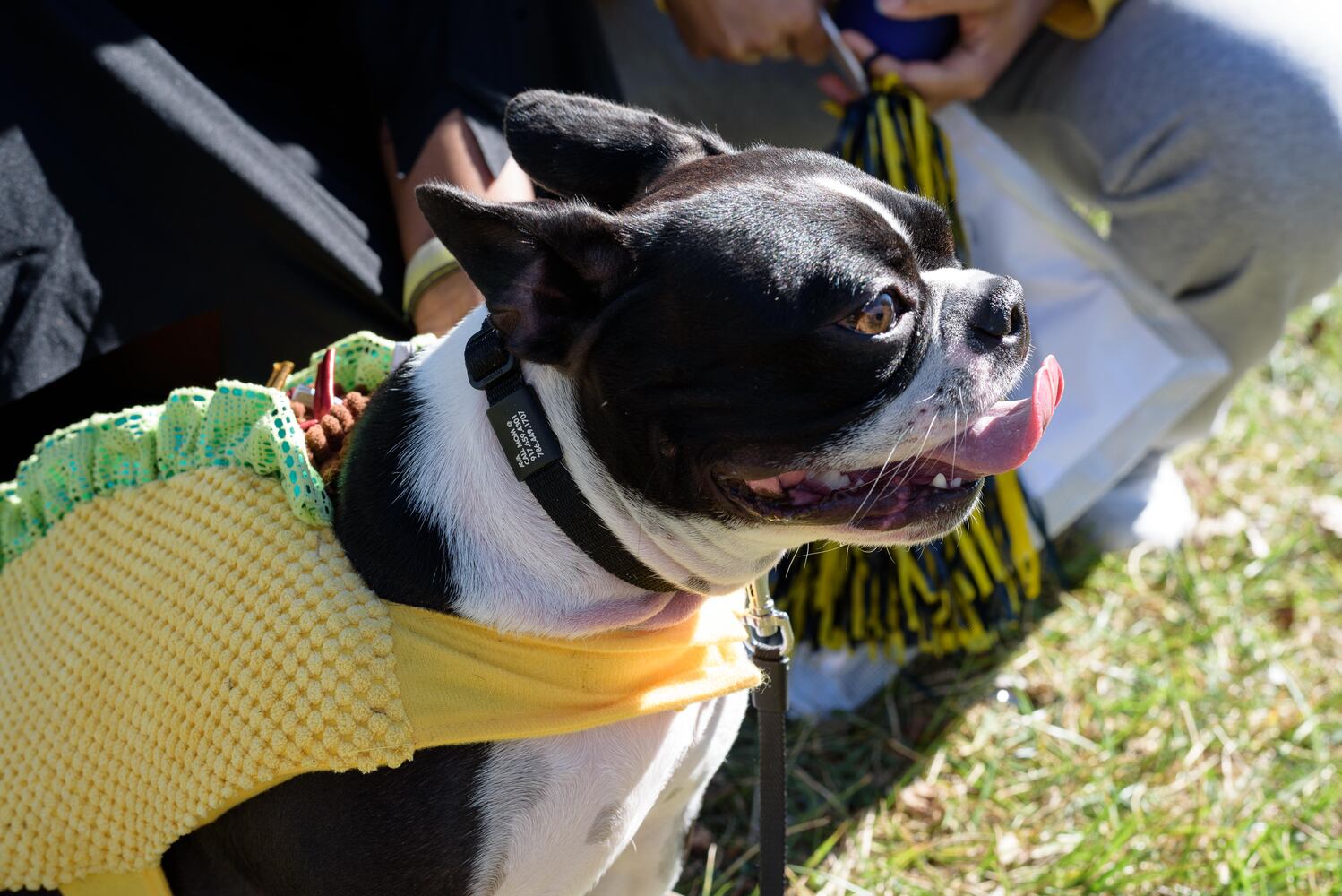PHOTOS: Did we spot you and your dog at Wag-O-Ween at the Kettering Recreation Center?