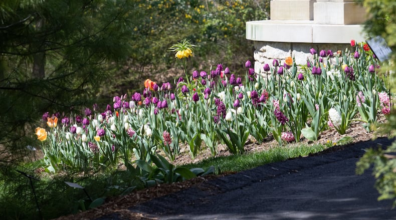 From the plants specifically chosen to thrive in the upper Midwest to the architecture of pavilions and other structures, the Green Bay Botanical Garden offers something for all ages. (Brian Sirimaturos/St. Louis Post-Dispatch/TNS)