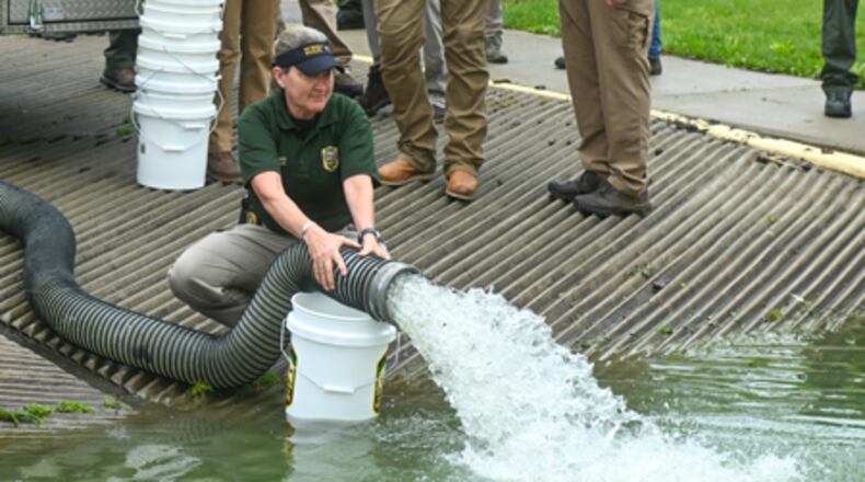 ODNR Division of Wildlife law enforcement executive administrator Kandy Klosterman helps release saugeye into Grand Lake St. Marys on Wednesday, May 21. CONTRIBUTED