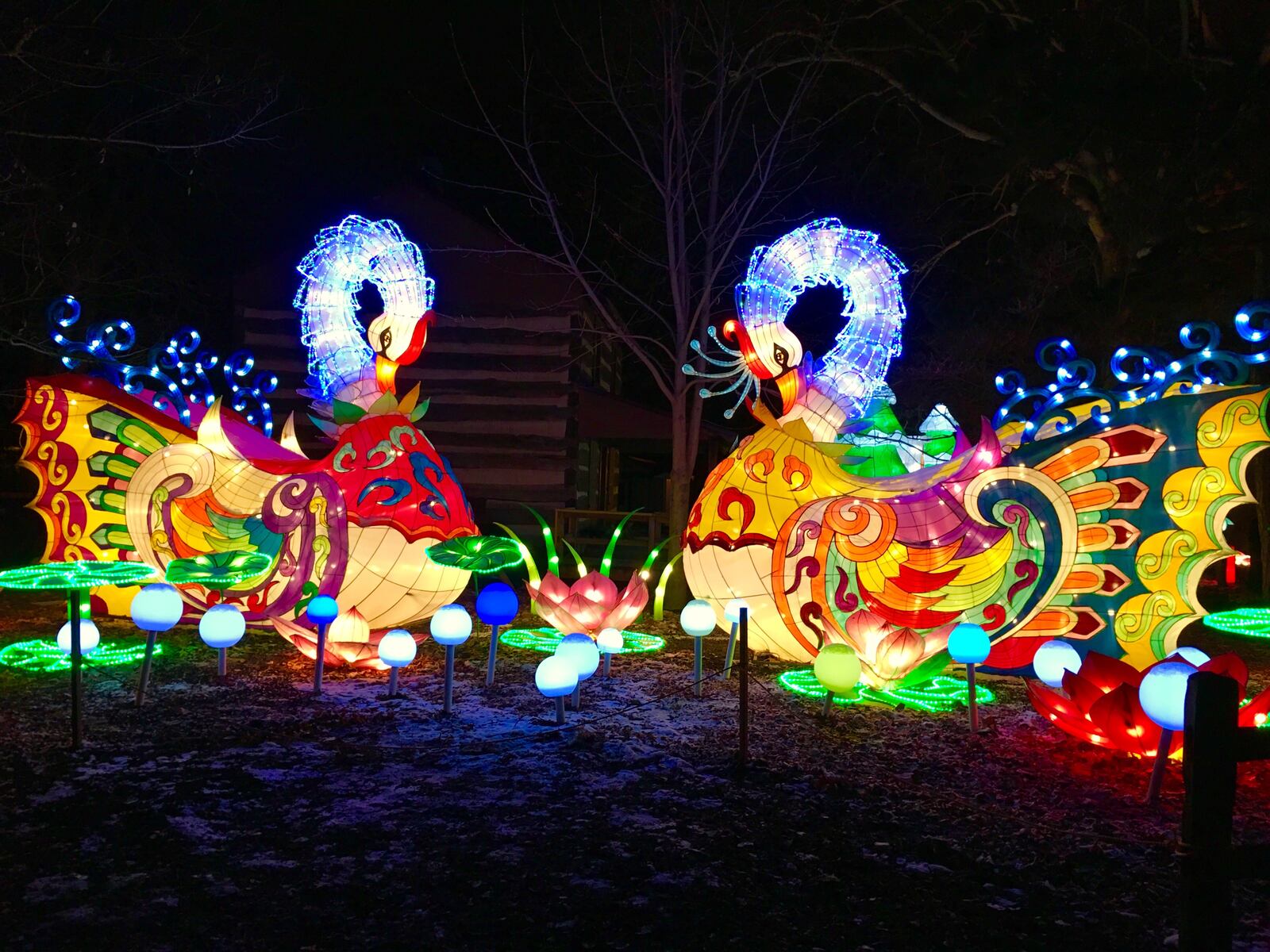 Ohio Chinese Lantern Festival is returning to the Expo Center with bigger and brighter lights this winter!