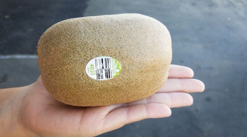 Mega Kiwi (Handout)