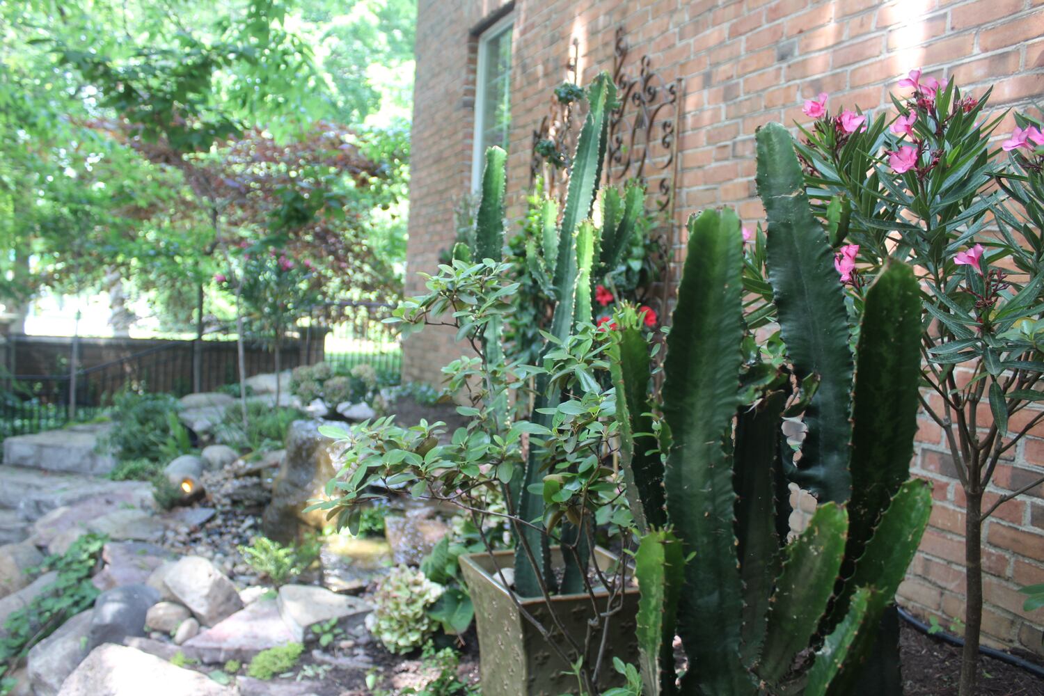 Josh Stucky's secret garden