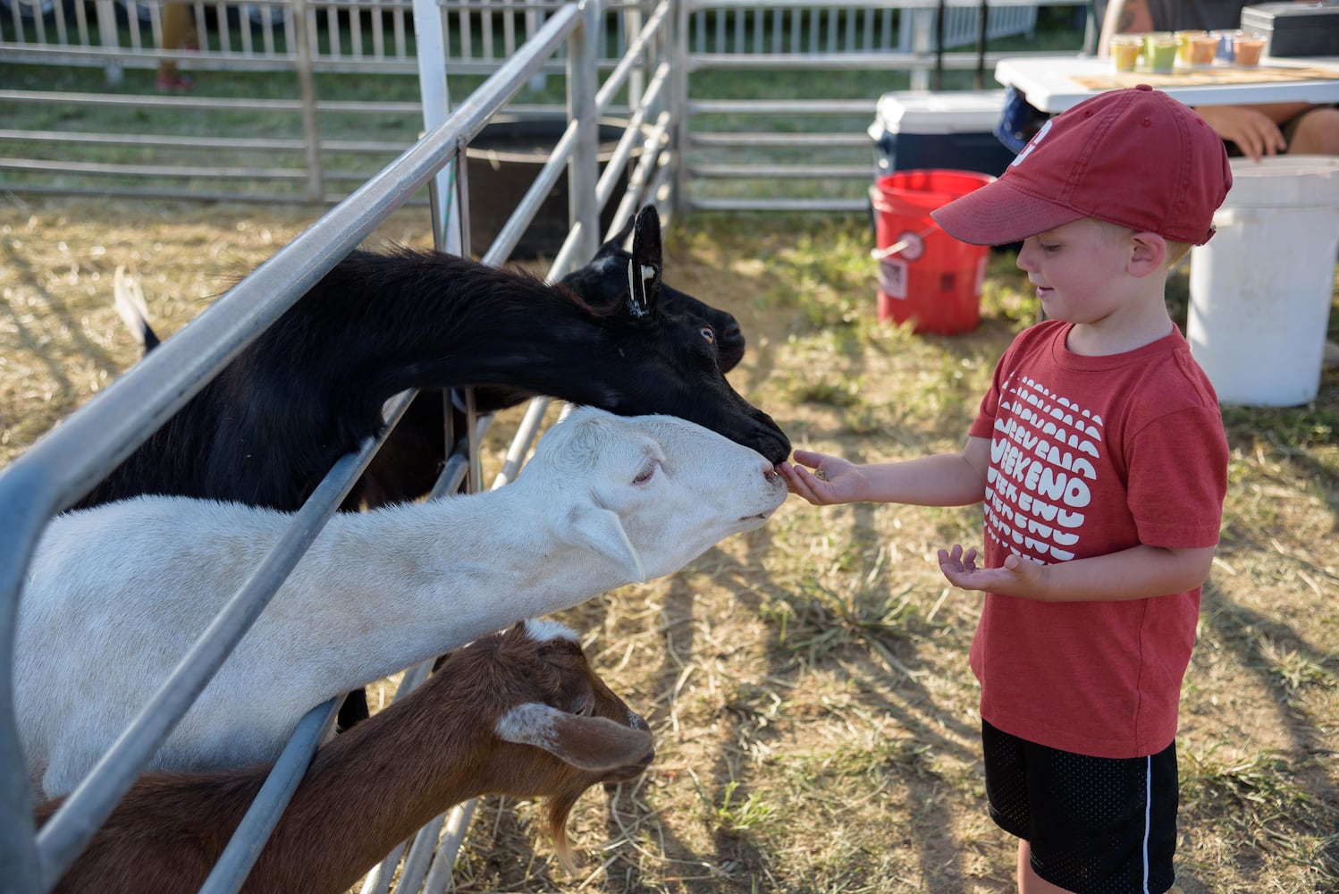 PHOTOS: Did we spot you at this year’s Montgomery County Fair?