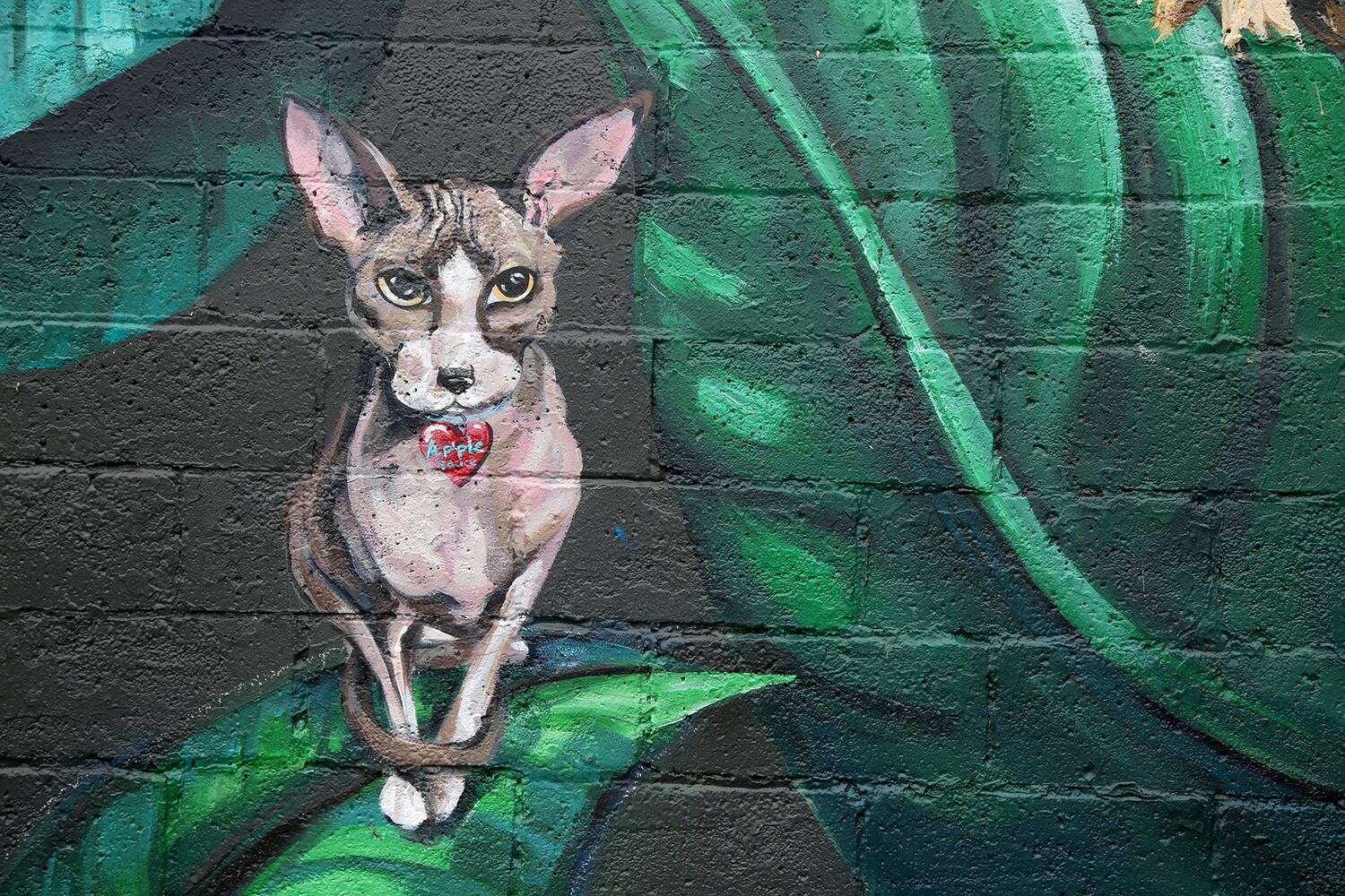 PHOTOS: Your fancy felines are subject of new downtown mural
