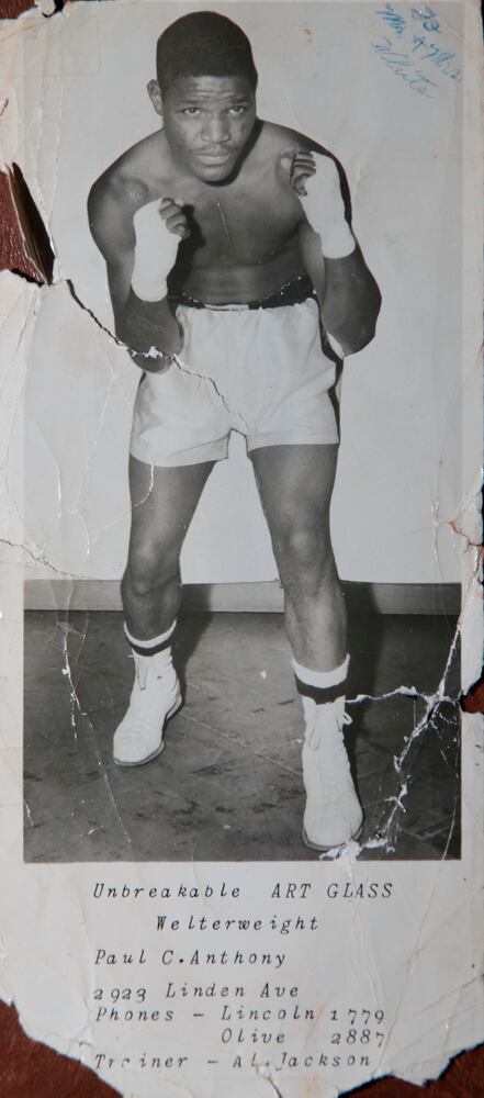 Boxer Art-Unbreakable-Glass