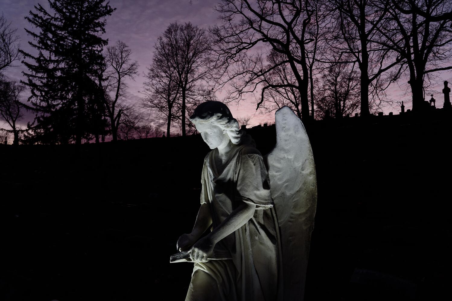 PHOTOS: Angel Night at Calvary Cemetery