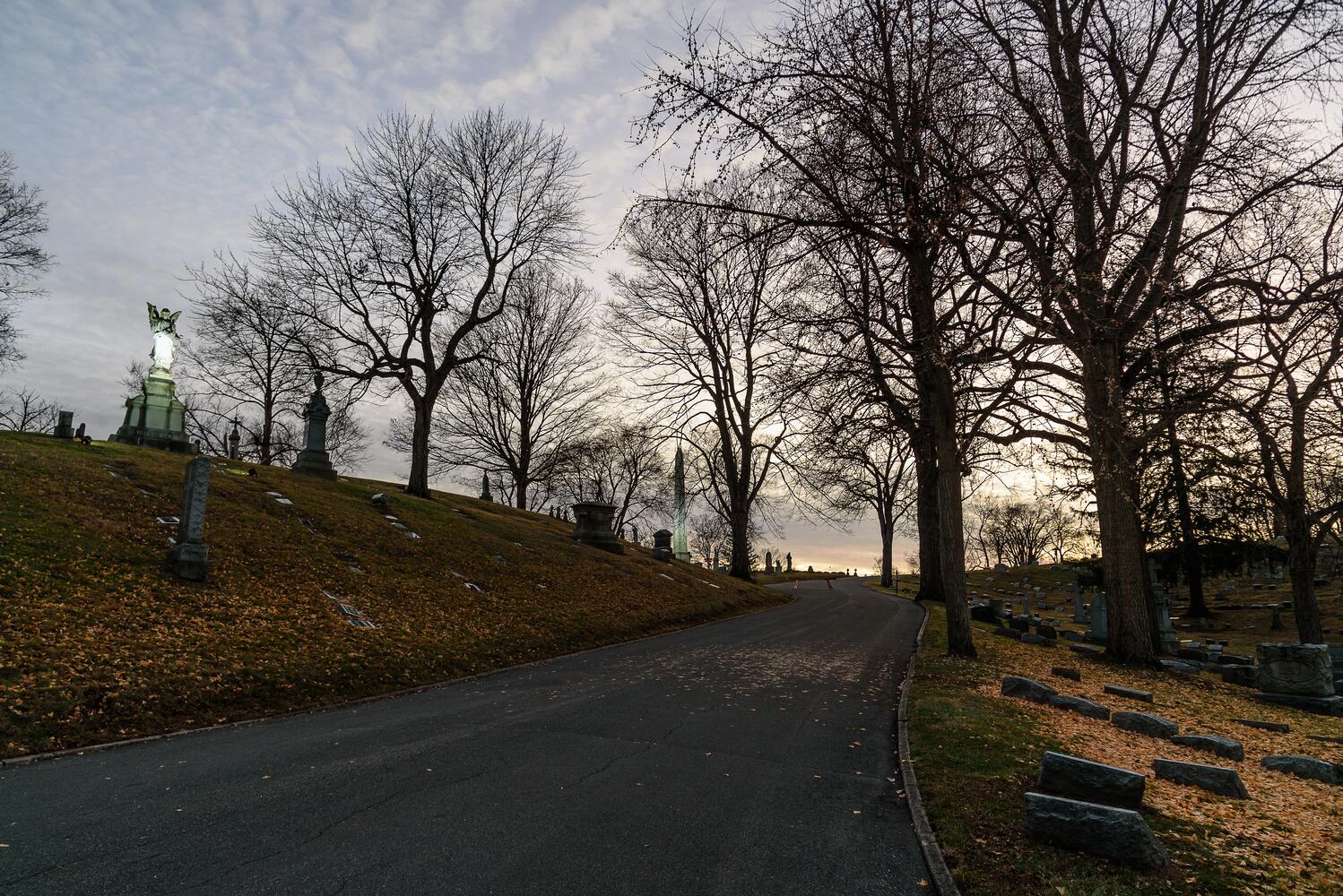 PHOTOS: Angel Night at Calvary Cemetery