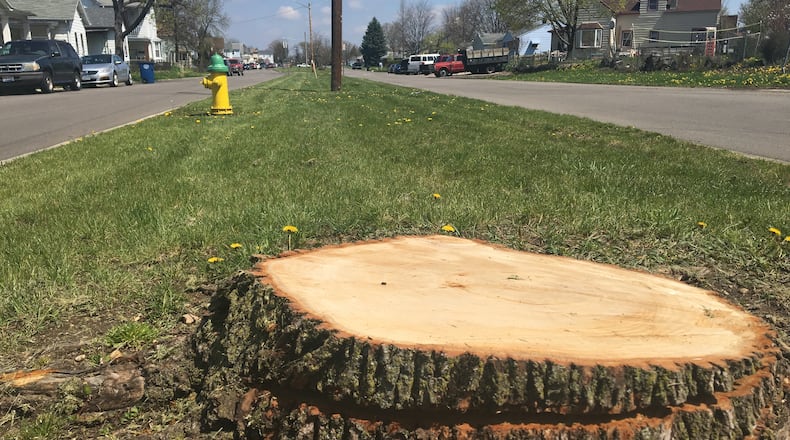 Dayton Power & Light removed about 17 trees from Rita Street, upsetting neighbors who say they were kept in the dark about the project. CORNELIUS FROLIK / STAFF
