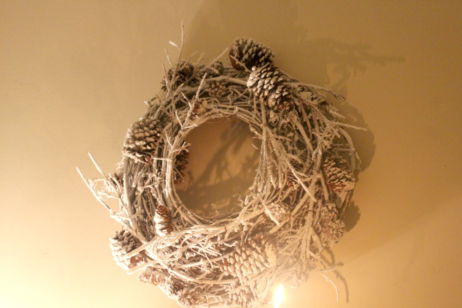 PHOTOS: Must-see Oregon District homes decked out for the holidays