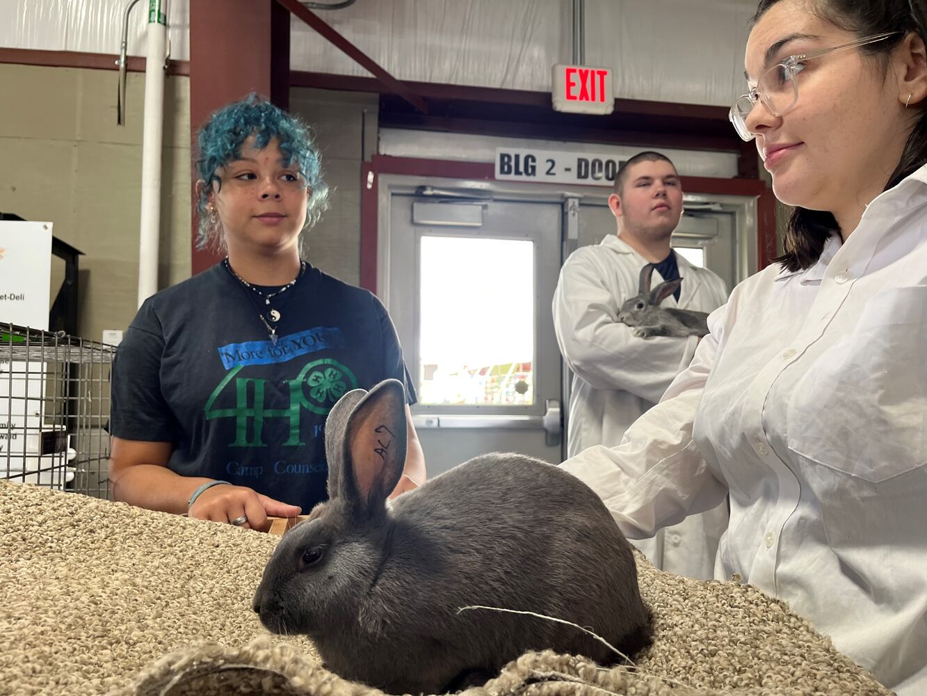 Montgomery County Fair