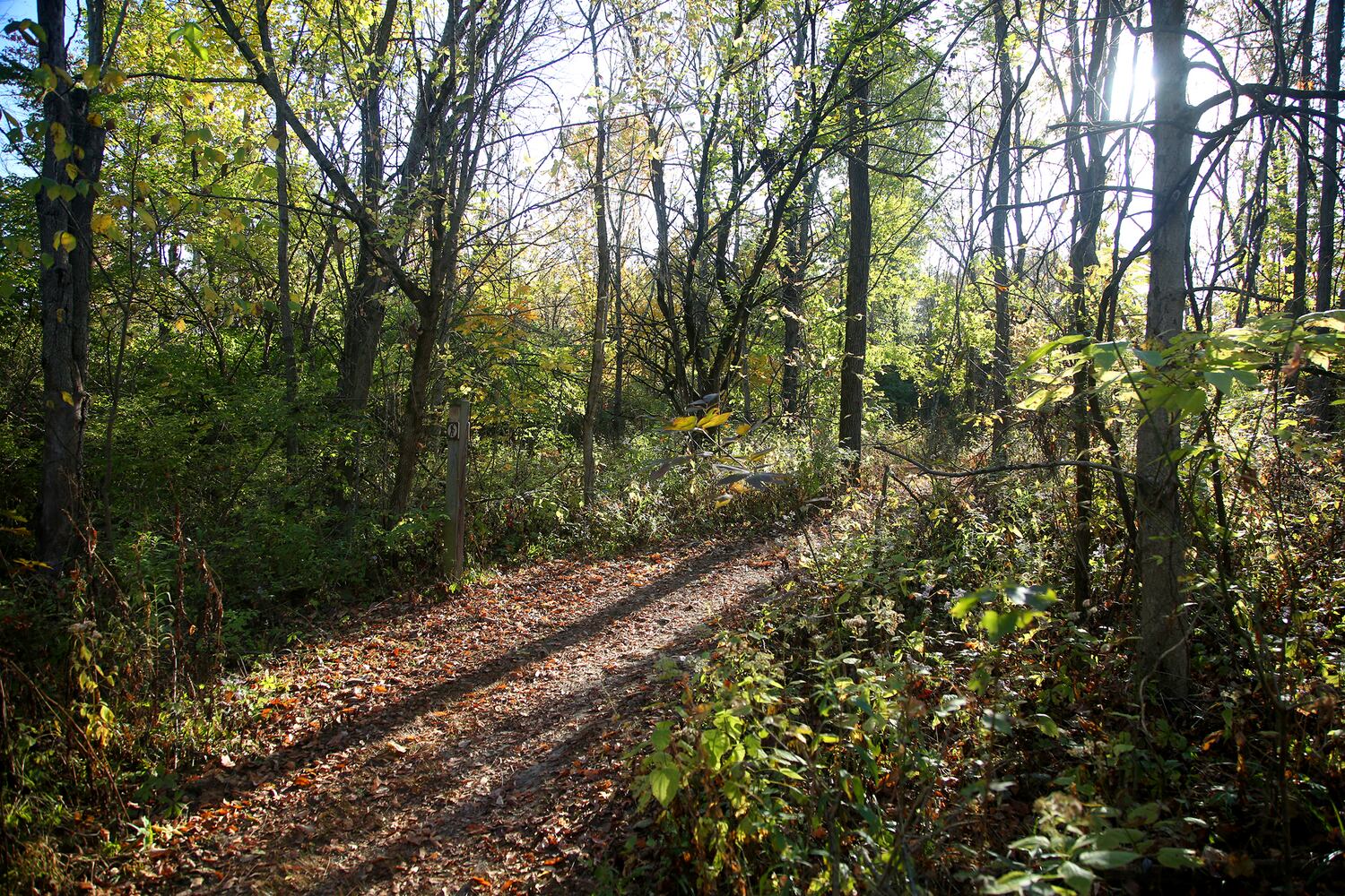 PHOTOS: New hiking trails at Germantown MetroPark explore a landscape of beauty