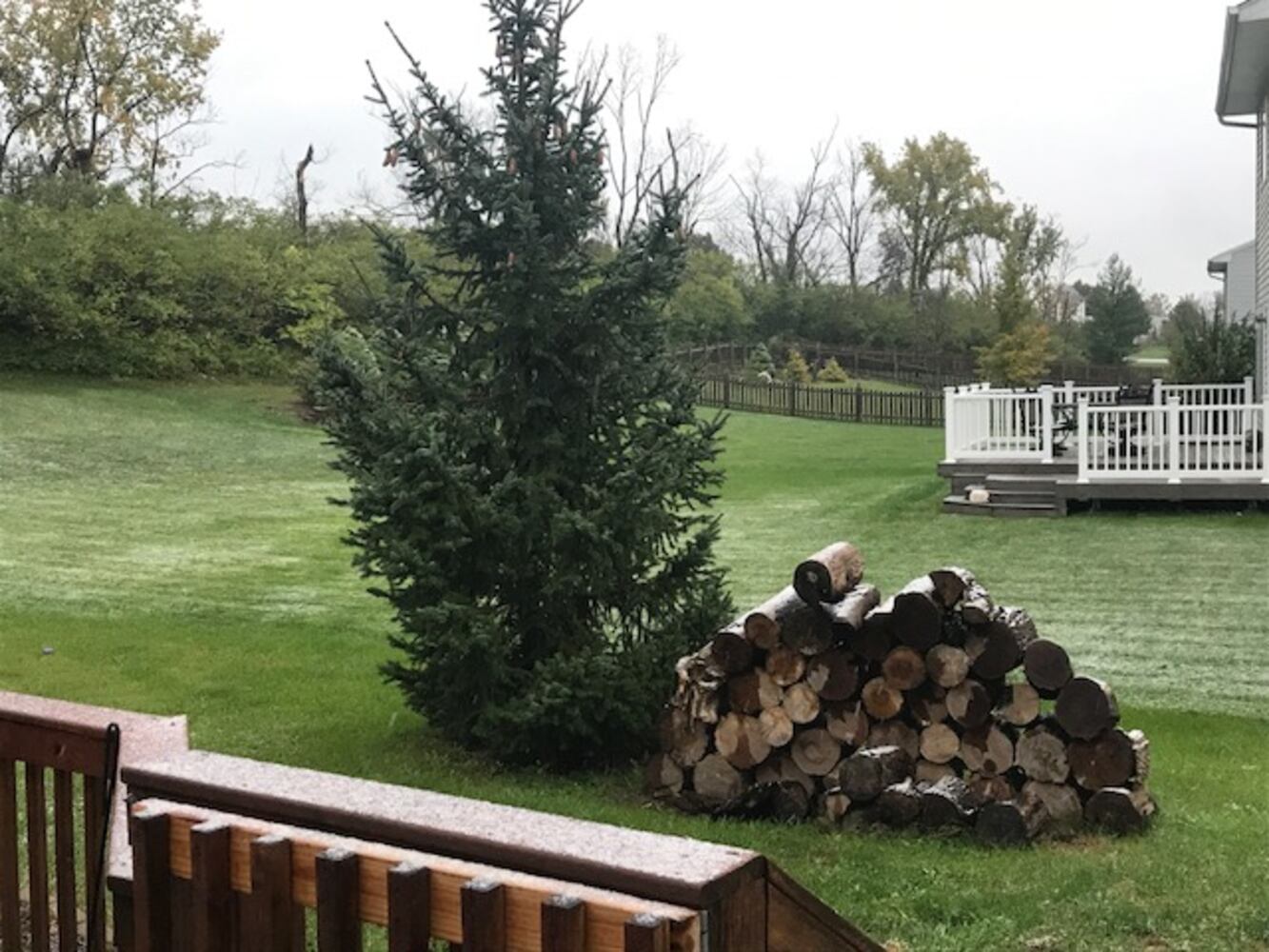 Photos: First Snowfall
