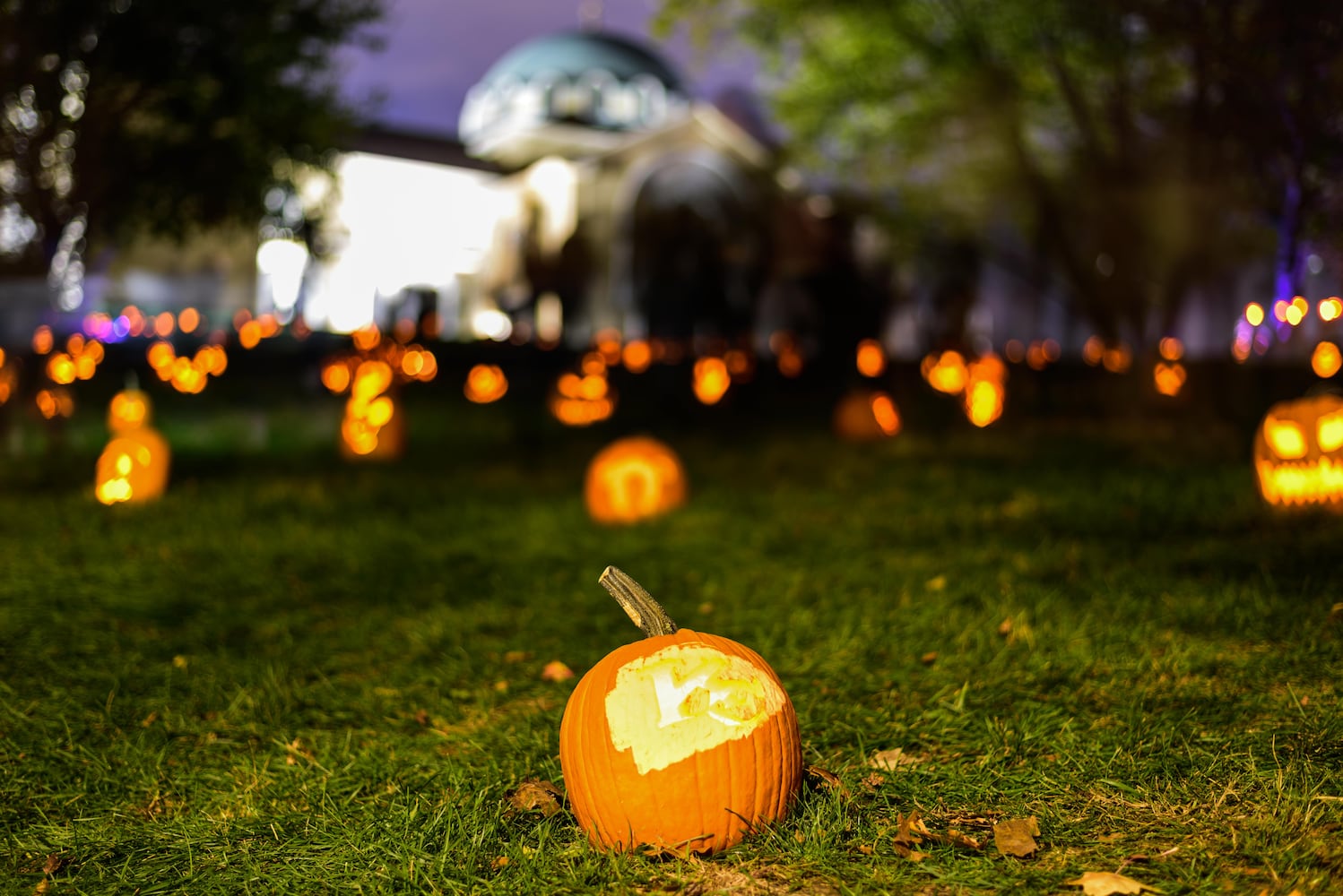 PHOTOS: 2025 Stoddard Avenue Pumpkin Glow