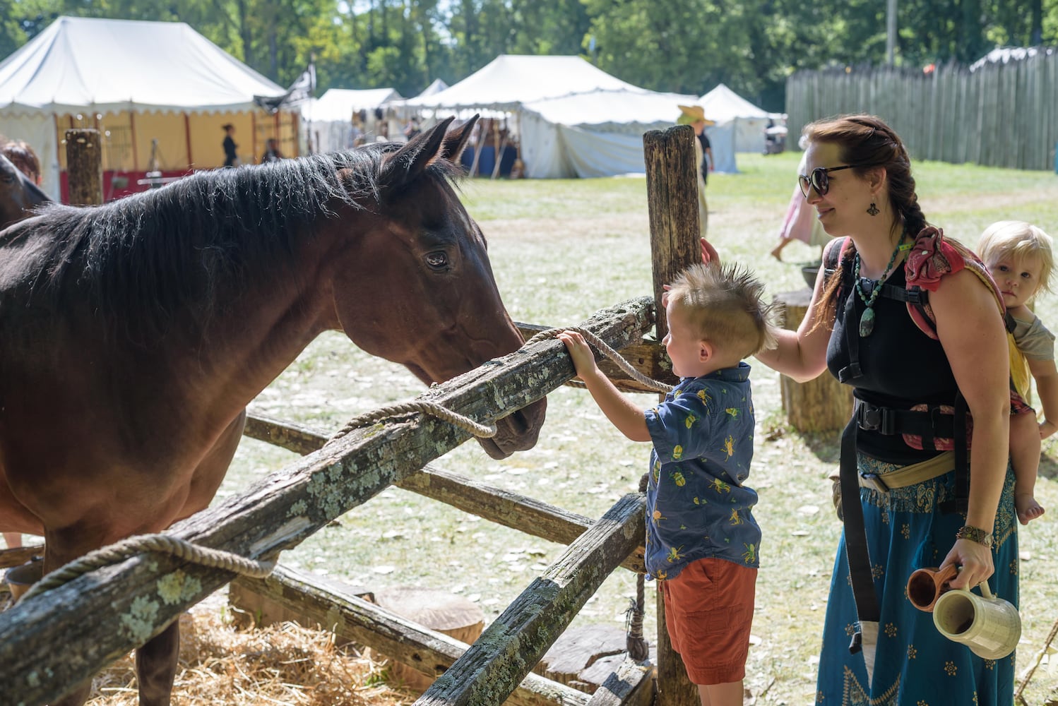 PHOTOS: 2025 Fair at New Boston in Springfield