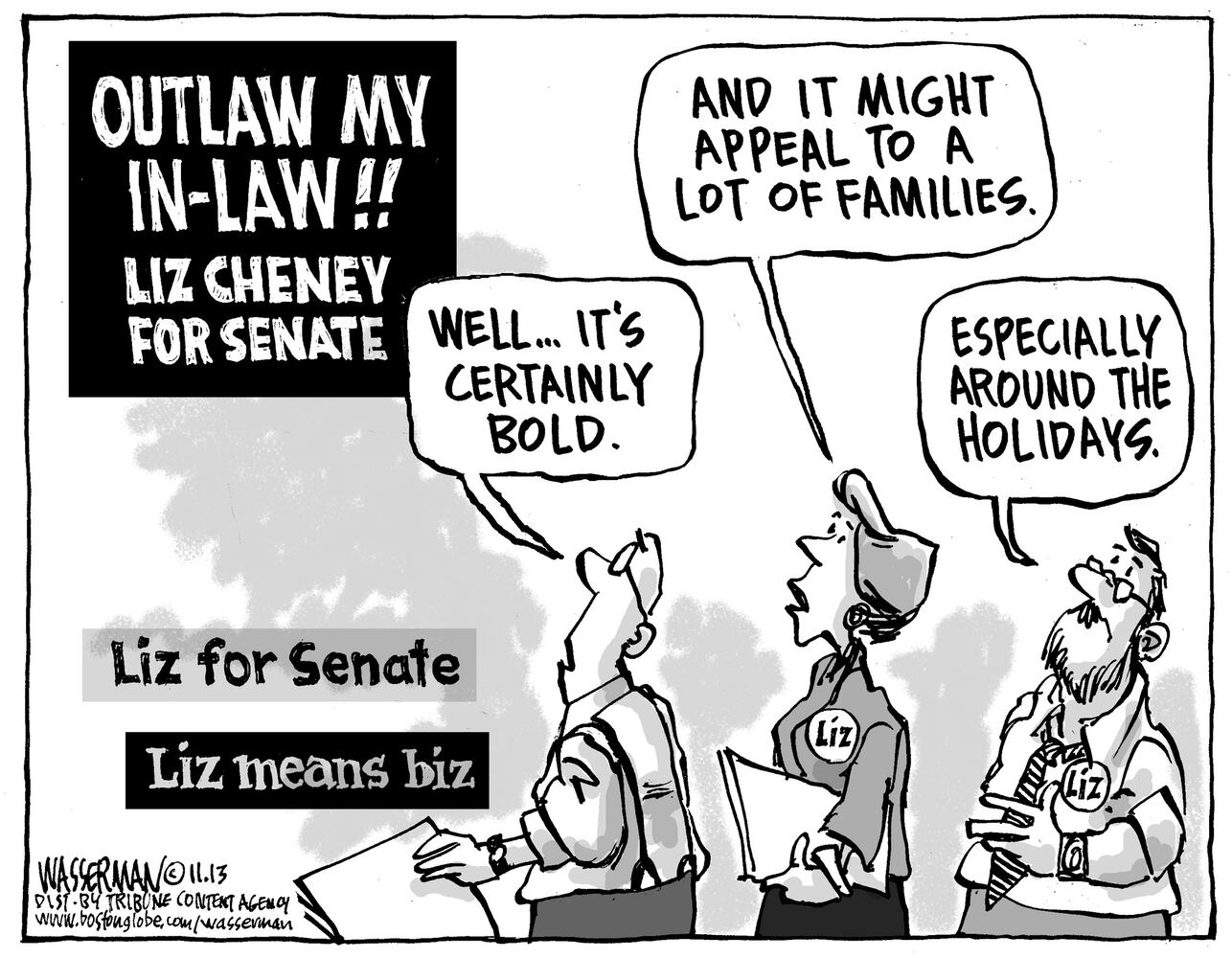 Today's cartoons 11/22