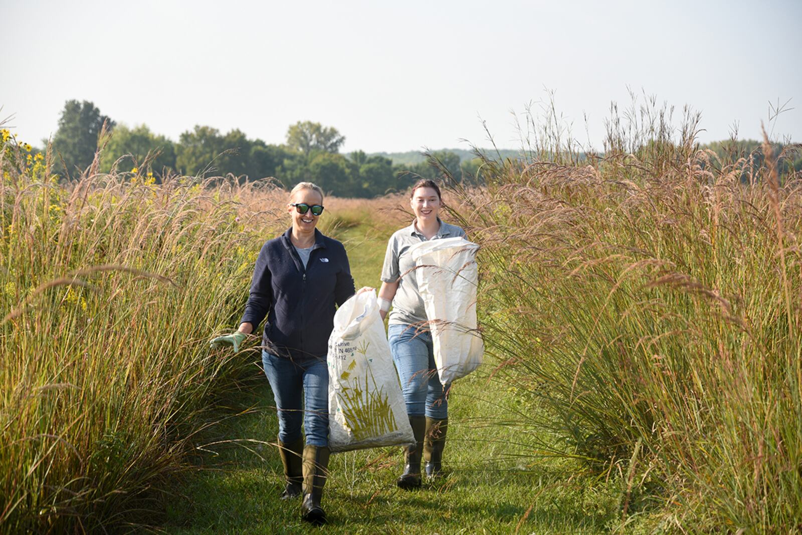 Dave Nolin, retired director of Five Rivers MetroParks, collects seeds Sept. 15 in Huffman Prairie at Wright-Patterson Air Force Base. Huffman Prairie is the largest in Ohio, and its 109 acres are home to more than 300 species of wildflowers. U.S. AIR FORCE PHOTO/MATTHEW CLOUSE