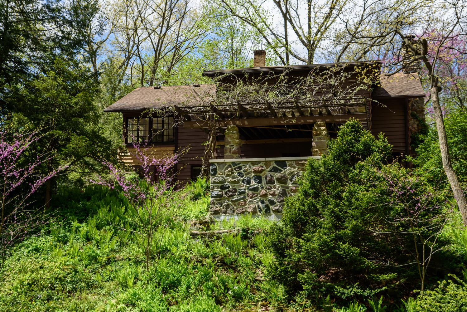 PHOTOS: Gorgeous Aullwood Garden is in full bloom
