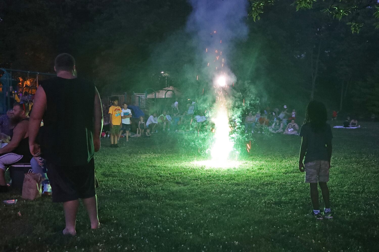Springfield Fireworks SNS