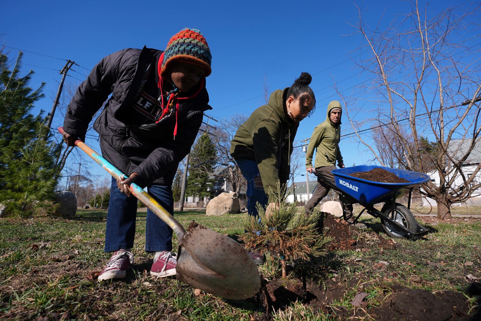 Robyn Redding, from left, and Gianna Holliday plant a sequoia tree seedling as Andrew "Birch" Kemp brings mulch in Detroit, Friday, March 21, 2025. (AP Photo/Paul Sancya)