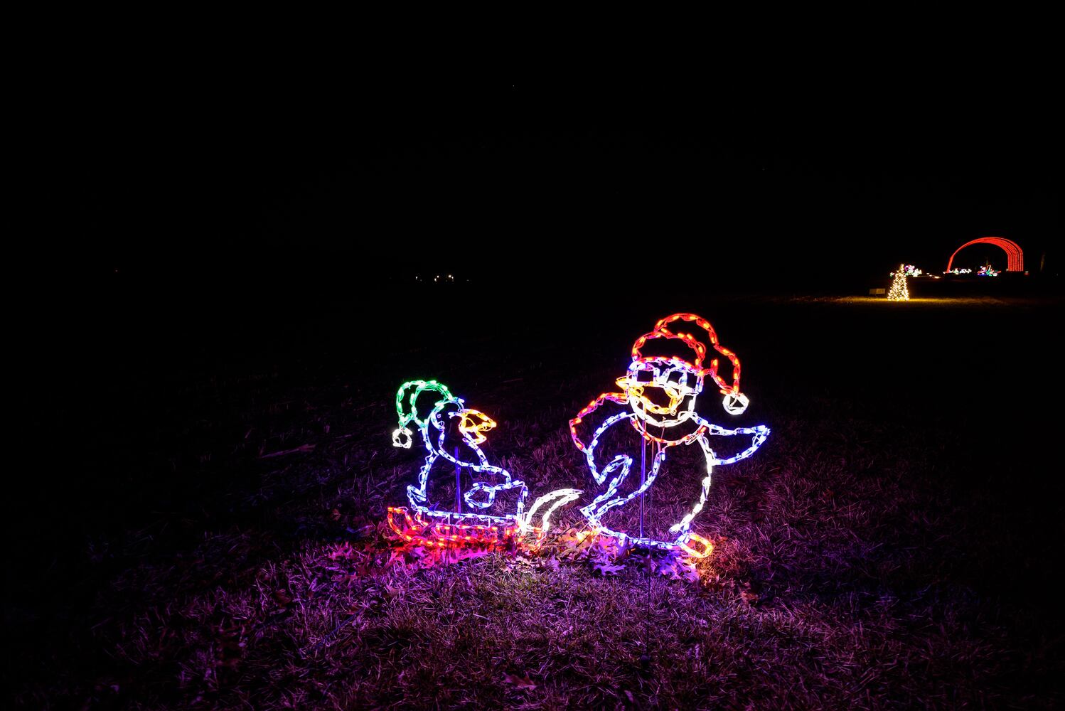 PHOTOS: Holiday Lights dazzle at Lost Creek Reserve in Troy