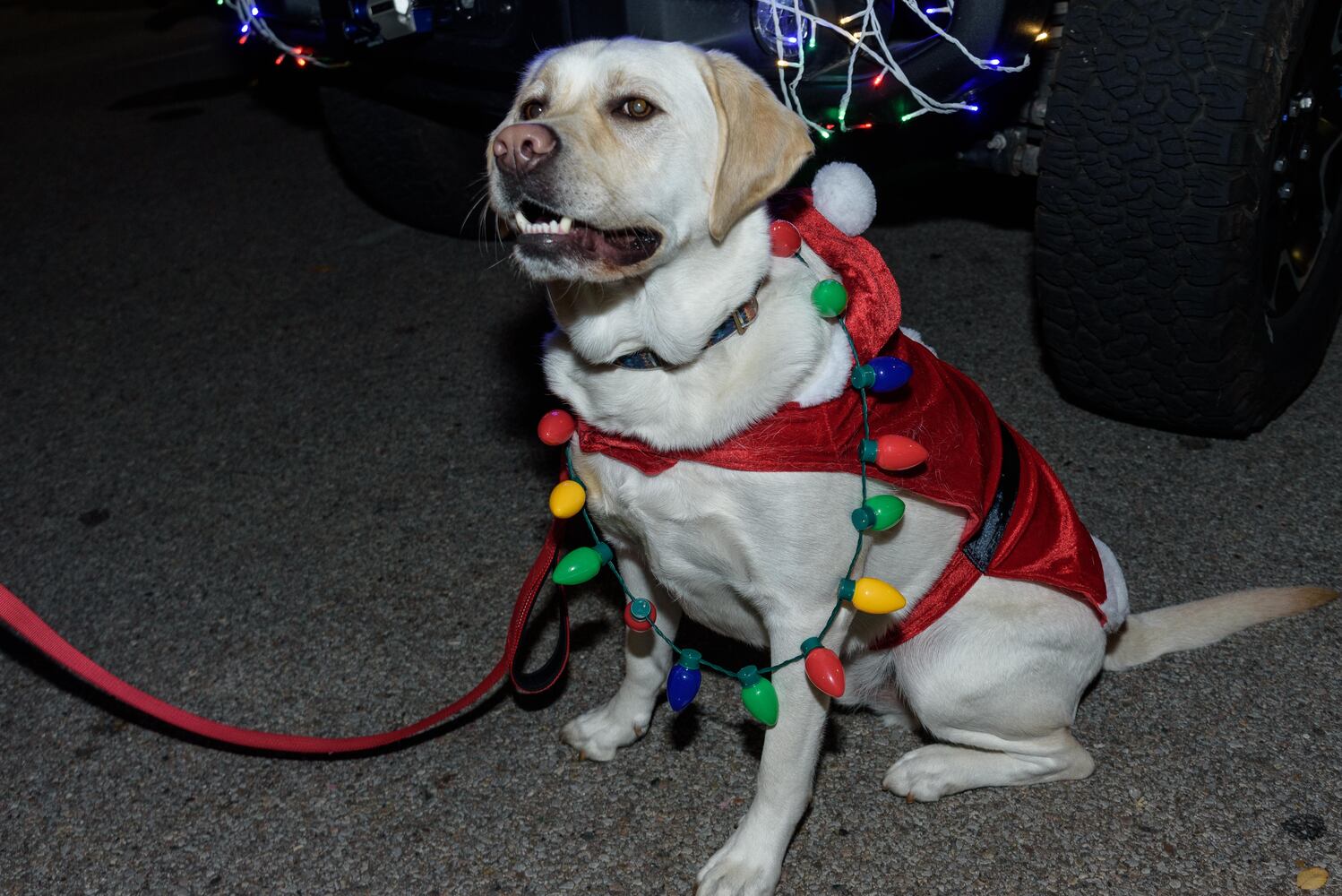 PHOTOS: Did we spot you at Austin Landing's Christmas Tree Lighting?