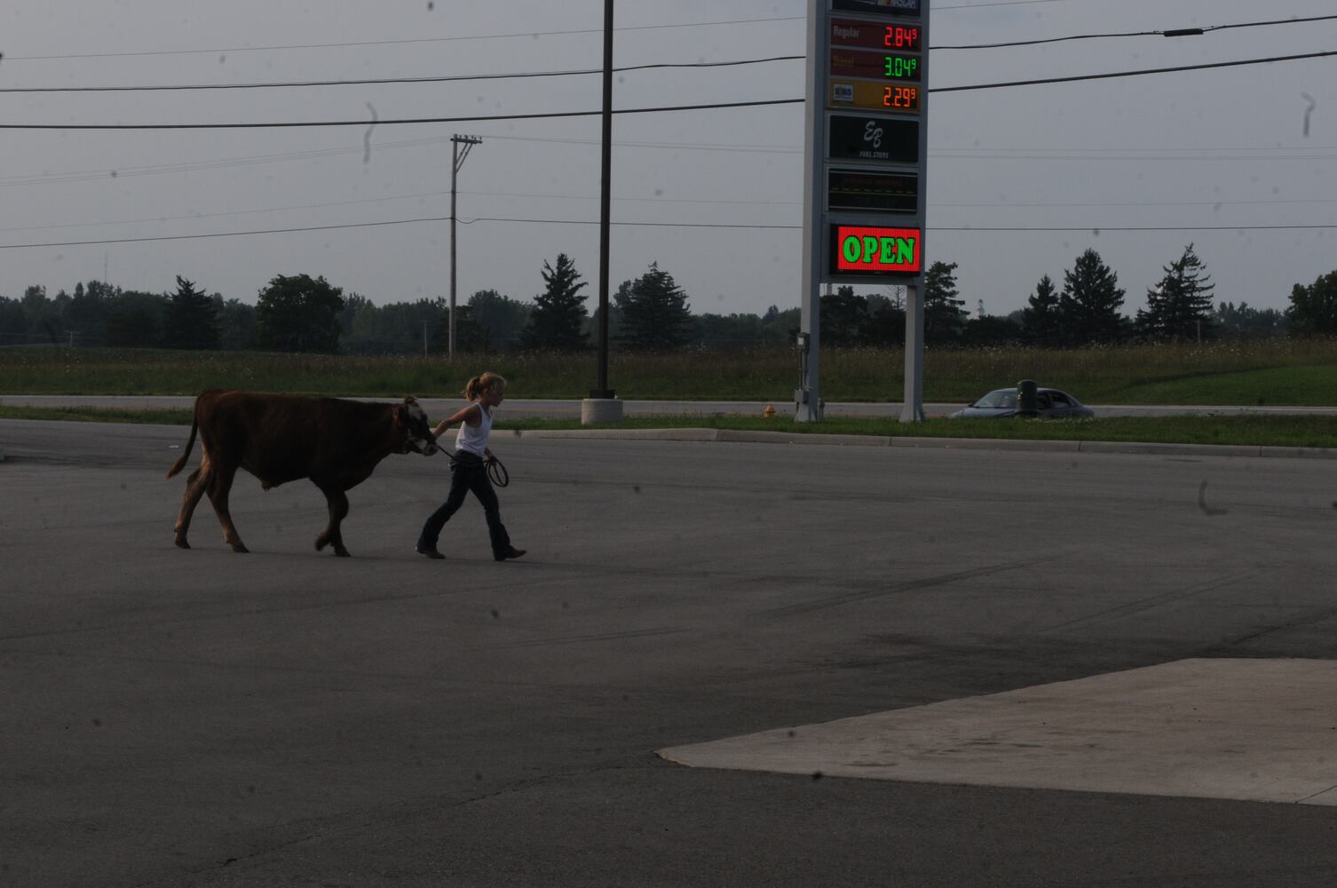 PHOTOS: Did we spot you at the Great Darke County Fair?