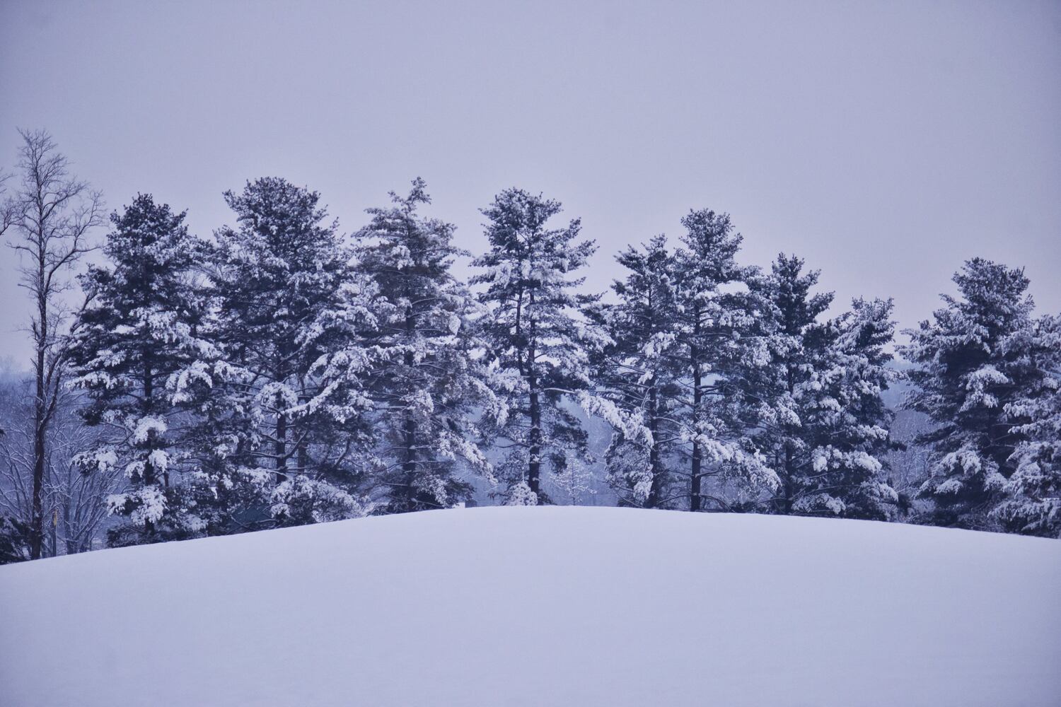 Butler County snow, Feb. 9, 2021